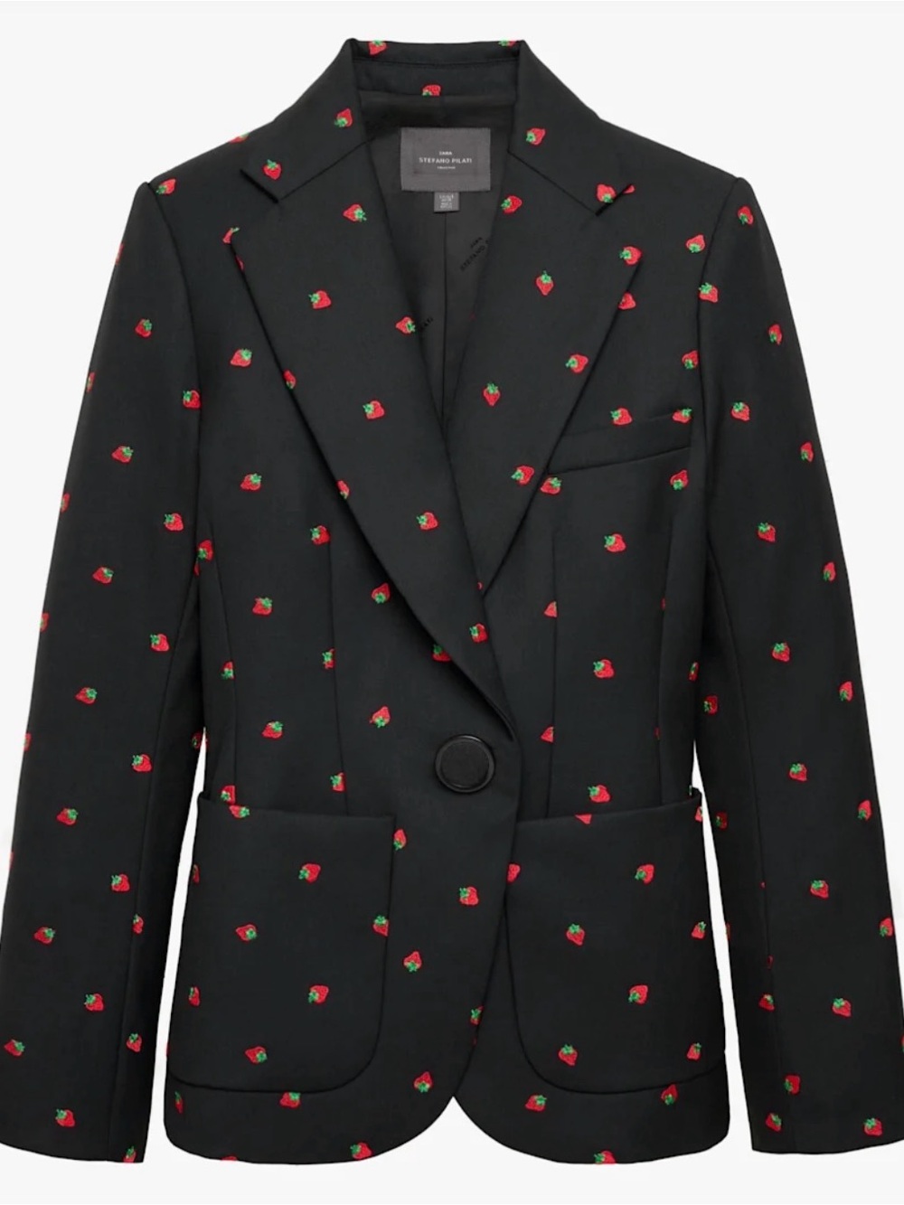 Zara Black Strawberry-Embroidered Tailored Blazer Stefano Pilate Collection